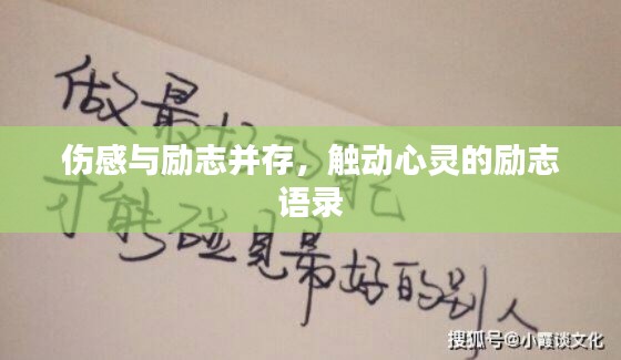 久别重逢 第2页