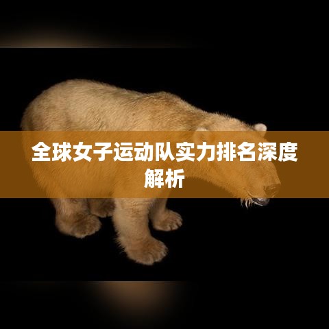 全球女子运动队实力排名深度解析