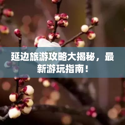 延边旅游攻略大揭秘，最新游玩指南！