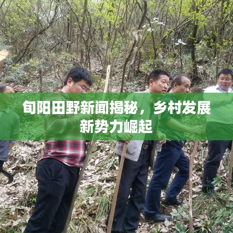 旬阳田野新闻揭秘，乡村发展新势力崛起
