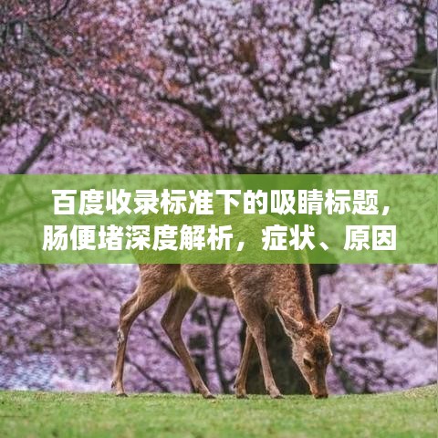 贵在知心 第2页