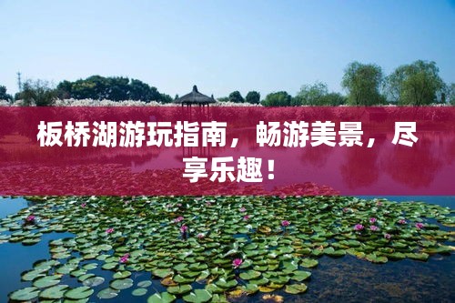 板桥湖游玩指南，畅游美景，尽享乐趣！
