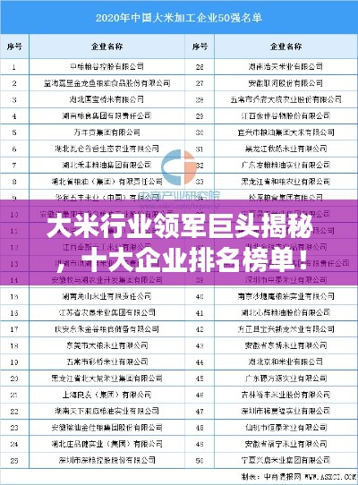 大米行业领军巨头揭秘，十大企业排名榜单！