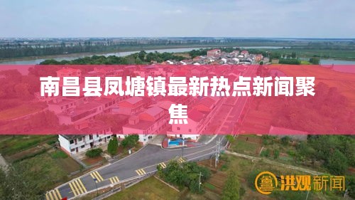 南昌县凤塘镇最新热点新闻聚焦