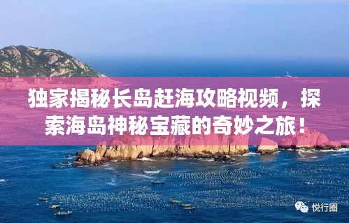 独家揭秘长岛赶海攻略视频，探索海岛神秘宝藏的奇妙之旅！