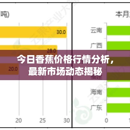 今日香蕉价格行情分析，最新市场动态揭秘