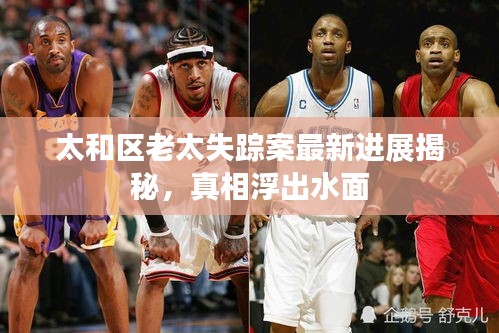 太和区老太失踪案最新进展揭秘，真相浮出水面