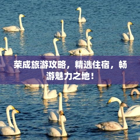 荣成旅游攻略，精选住宿，畅游魅力之地！