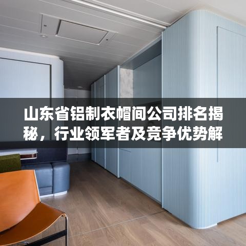 山东省铝制衣帽间公司排名揭秘，行业领军者及竞争优势解析