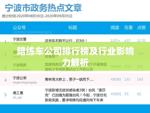 陪练车公司排行榜及行业影响力解析