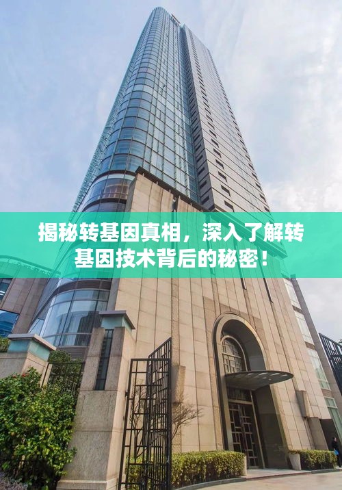 揭秘转基因真相，深入了解转基因技术背后的秘密！