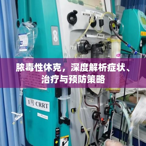 脓毒性休克，深度解析症状、治疗与预防策略