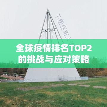 全球疫情排名TOP2的挑战与应对策略