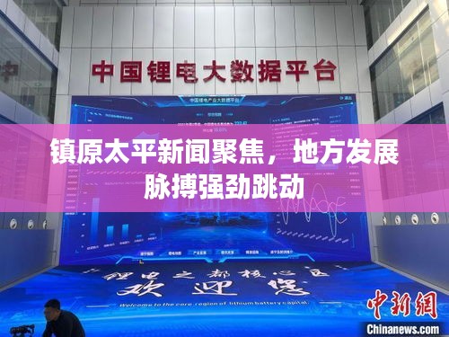 镇原太平新闻聚焦，地方发展脉搏强劲跳动