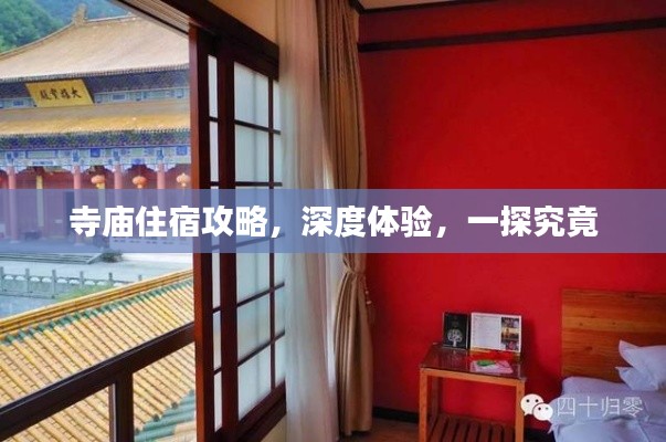 寺庙住宿攻略，深度体验，一探究竟