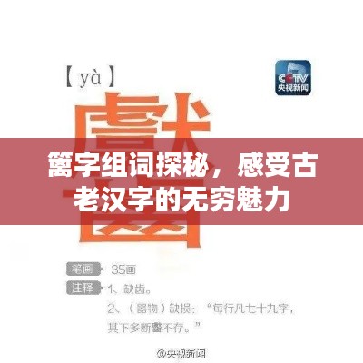 篱字组词探秘，感受古老汉字的无穷魅力