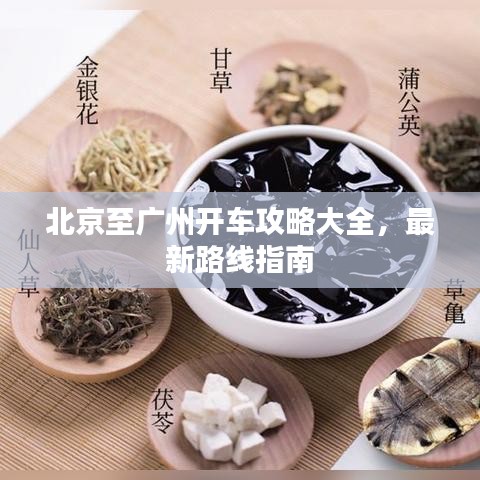 明目张胆 第2页