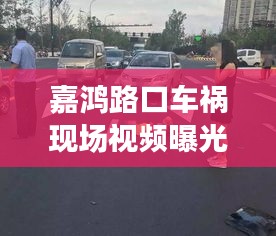 嘉鸿路口车祸现场视频曝光，交通事故警示录